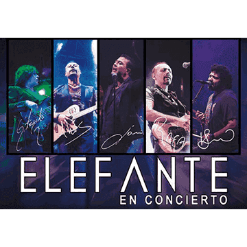 Elefante